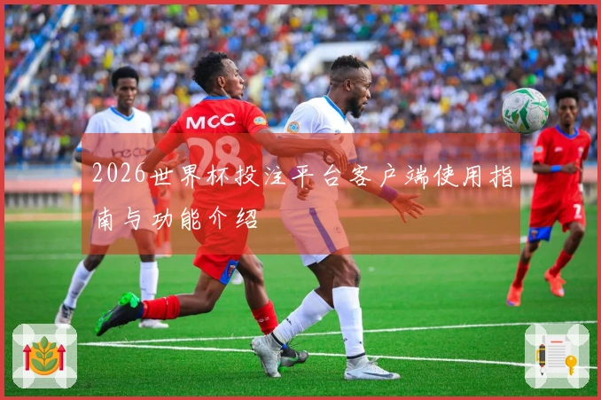 2026世界杯投注平台客户端使用指南与功能介绍
