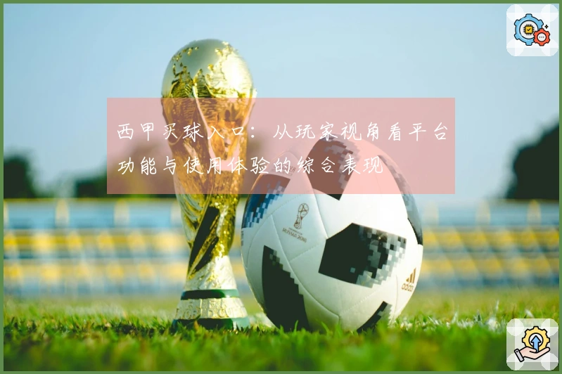 西甲买球入口：从玩家视角看平台功能与使用体验的综合表现