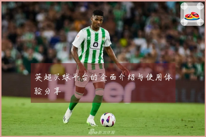 英超买球平台的全面介绍与使用体验分享