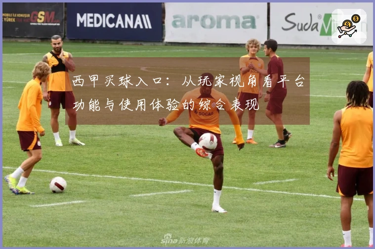 西甲买球入口：从玩家视角看平台功能与使用体验的综合表现